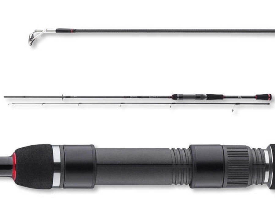 SPINNING DAIWA BALLISTIC X 2,70 M 30-70 G